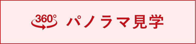 パノラマ見学