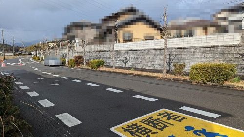 南側道路 (東側より)