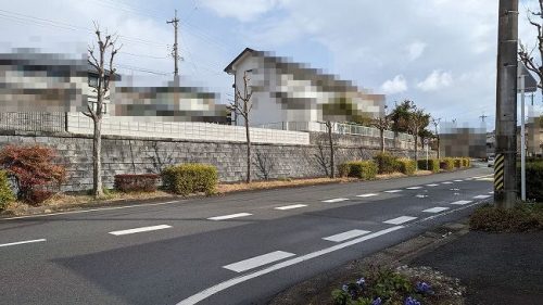 南側道路 (西側より)