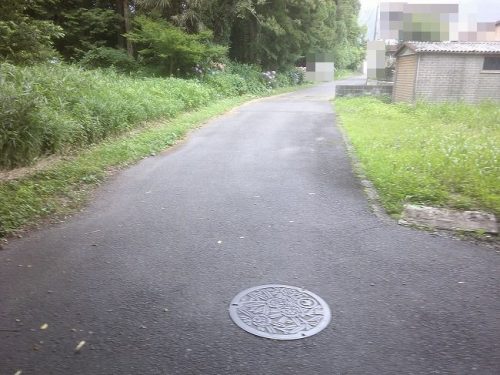 南側道路