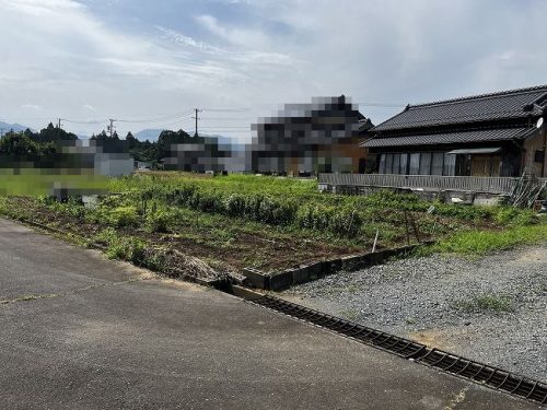 畑