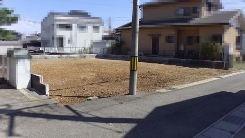 現地画像