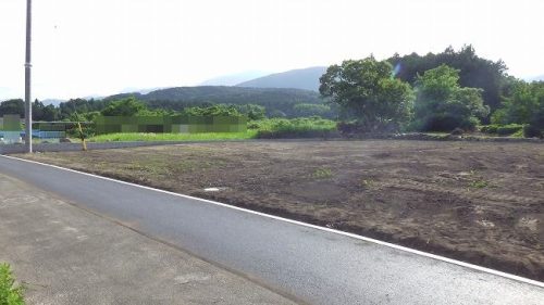 1号地