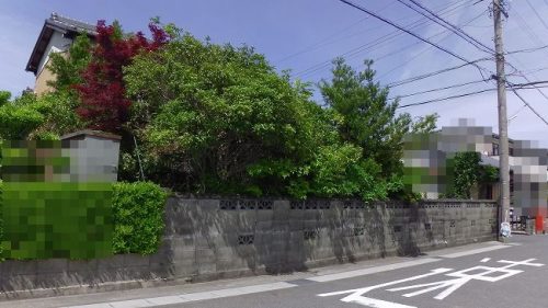 現地土地写真