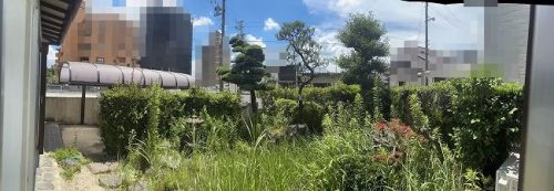 庭