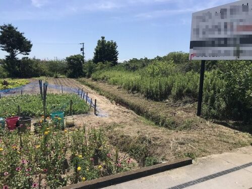 東から撮影