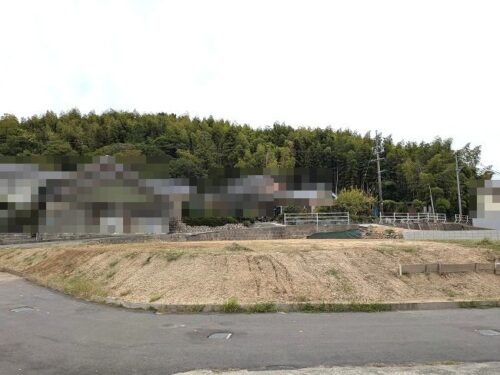 全体・南側より撮影