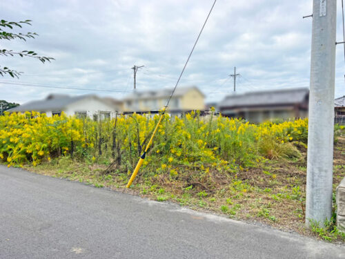 南東側より撮影