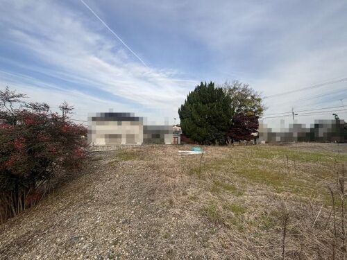 現地土地写真（西側）