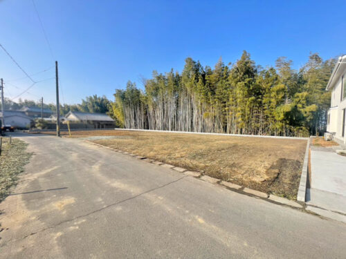 1号地側から撮影