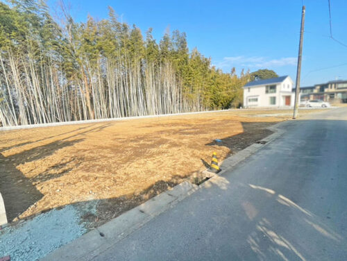 3号地側から撮影