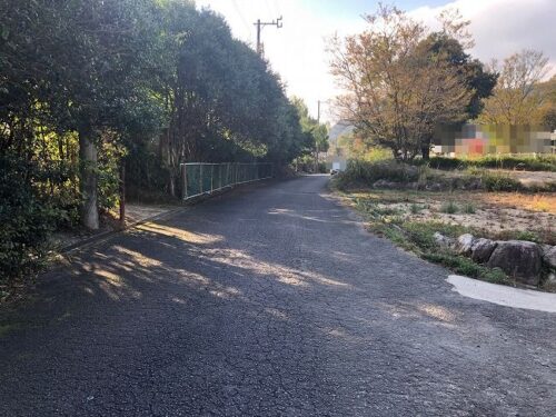 前面道路（南側）