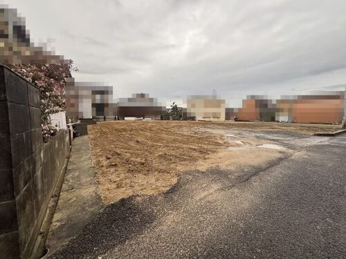 現地土地写真（西側より撮影）